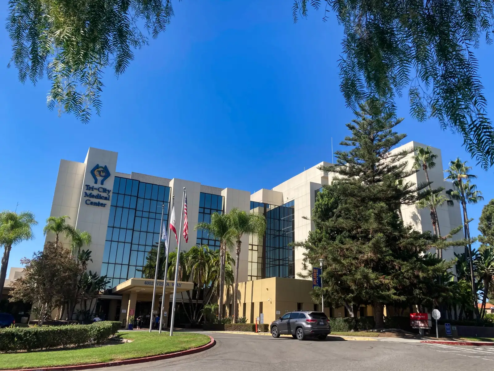 Hospital entrance framed by palm trees under a clear blue sky